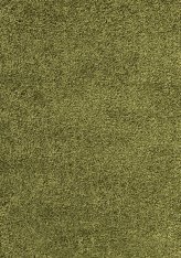 Kusový koberec Dream Shaggy 4000 – zelená 160x230 cm